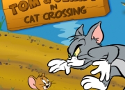 Jeu Chasse Tom et Jerry