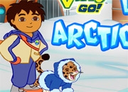 Jeu Diego jeu Arctic