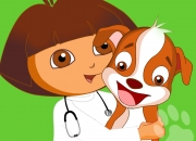 Jeu Dora docteur animaux pro