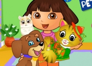 Jeu Dora prend soin des animaux