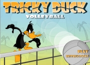 Jeu Duck volleyball