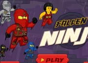 Jeu Ninjago Fallen Ninja