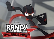 Jeu Randy le ninja